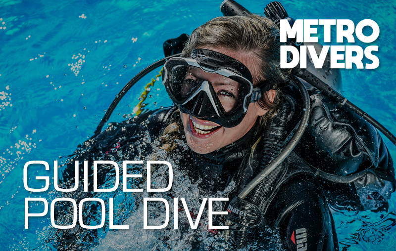 pool-dive