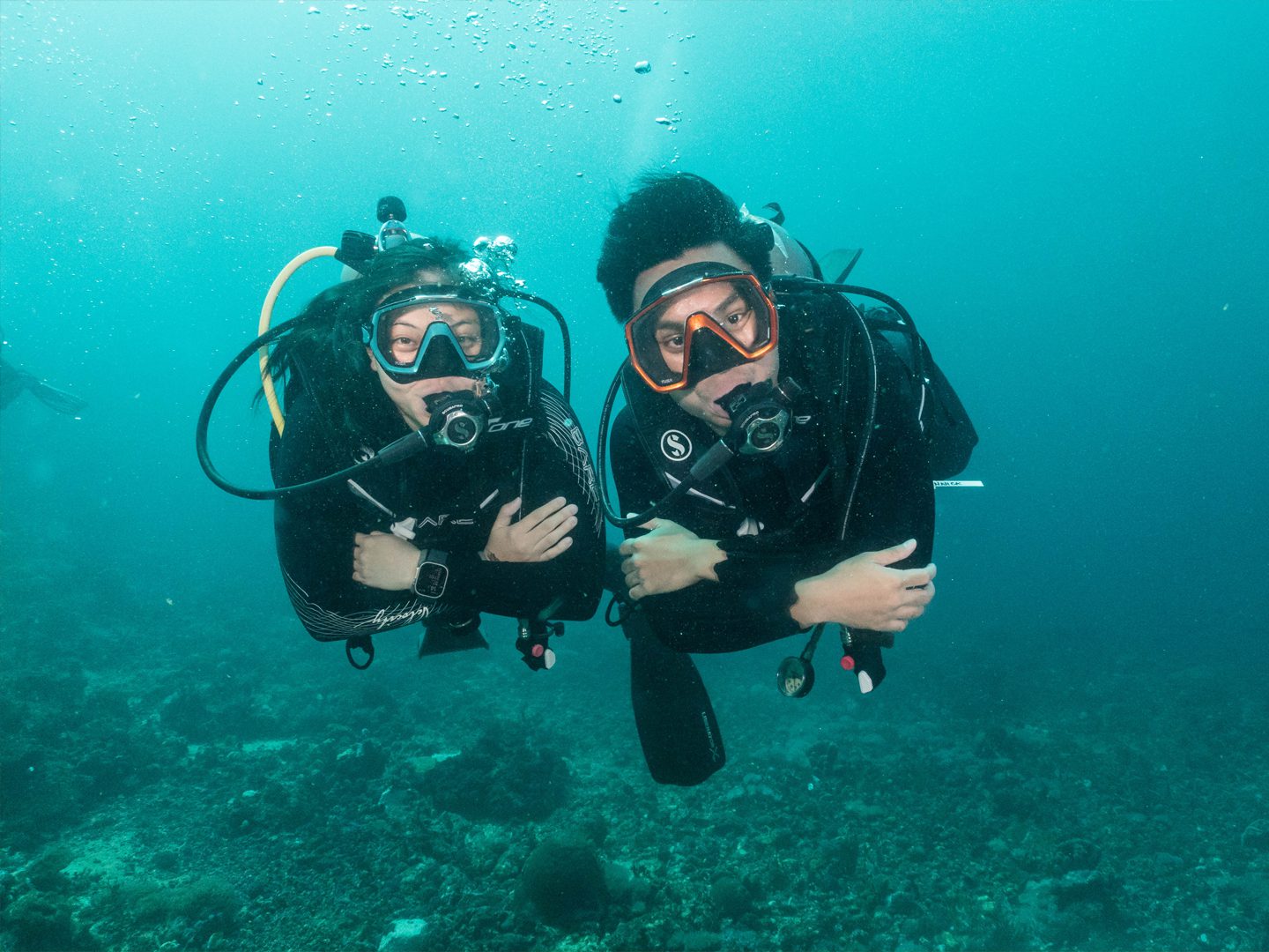 metro-divers-anilao-placeholder